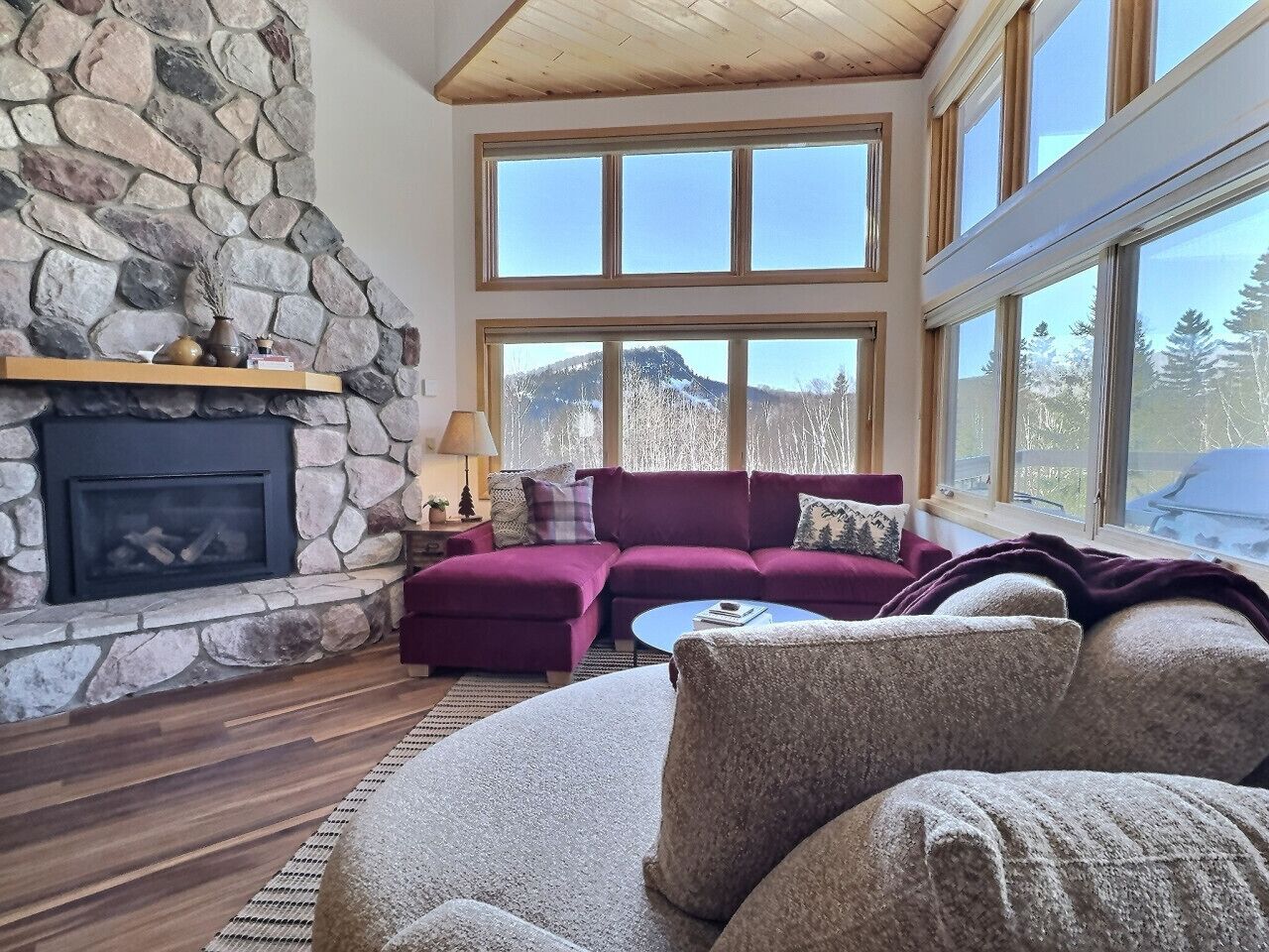 Smart TV, fireplace, ping pong, music library