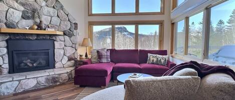 Smart TV, fireplace, ping pong, music library