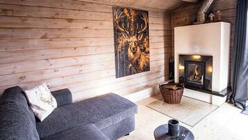 TV connectée, cheminée