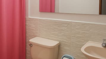 Ducha, toallas, jabón, papel higiénico