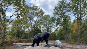 Estátua de um urso negro em um ambiente natural, com árvores e uma área de cascalho.