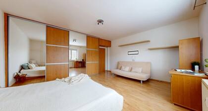 Welcoming 1-bedroom apartment in Bratislavský kraj