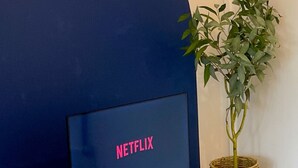 Puisesta televisiotelineestä, jossa on litteänäyttöinen televisio, jonka ruudulla näkyy vaaleanpunaisin kirjaimin sana ”NETFLIX”. Telineessä on myös pieni kasvi rottinkikorissa ja kirja alemmalla hyllyllä.