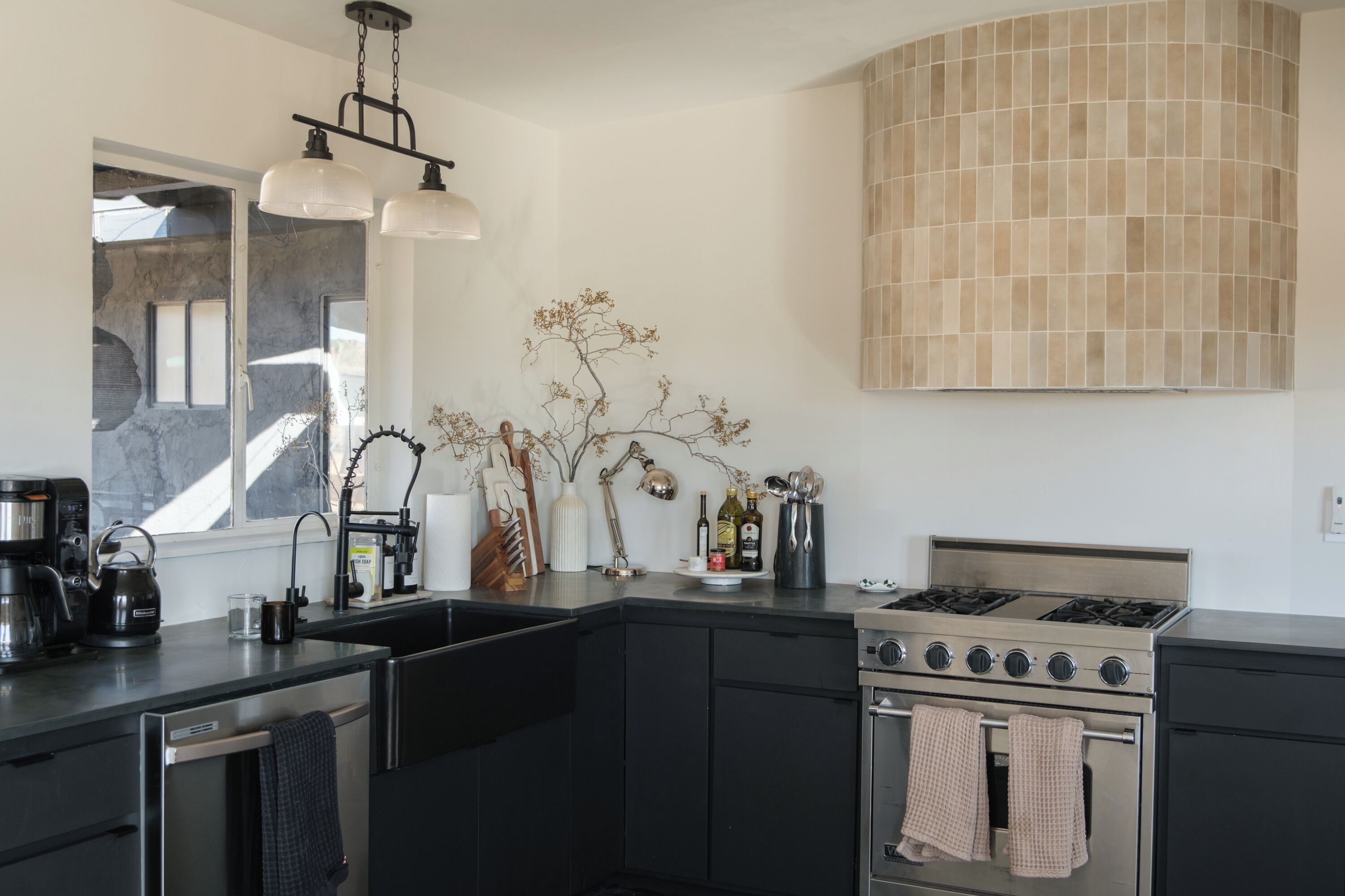 Oven, stovetop, dishwasher