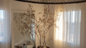 Une pièce avec une grande plante en pot, un bureau avec une chaise et une fenêtre ornée de rideaux légers.