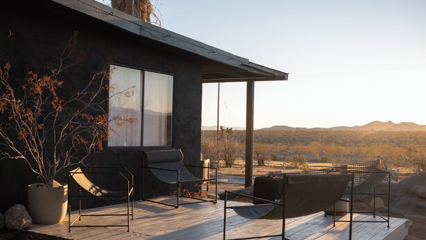 Une terrasse extérieure moderne, dotée de deux chaises longues et d’une grande plante en pot.
