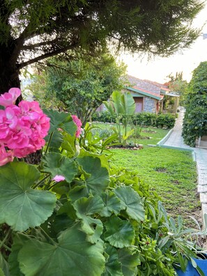 Facciata della struttura