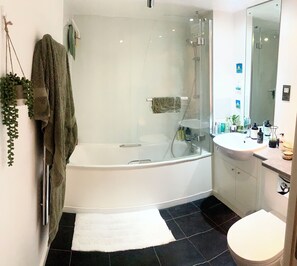 Hair dryer, towels, toilet paper