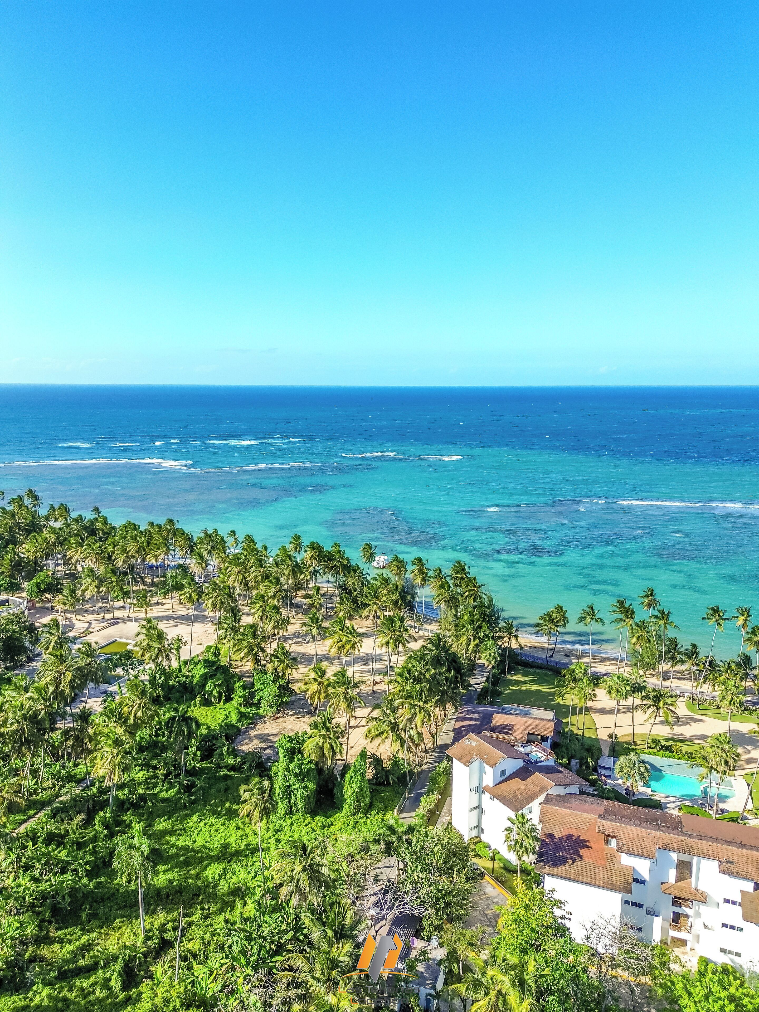 Um resort à beira-mar com vista para o oceano, palmeiras e uma piscina.