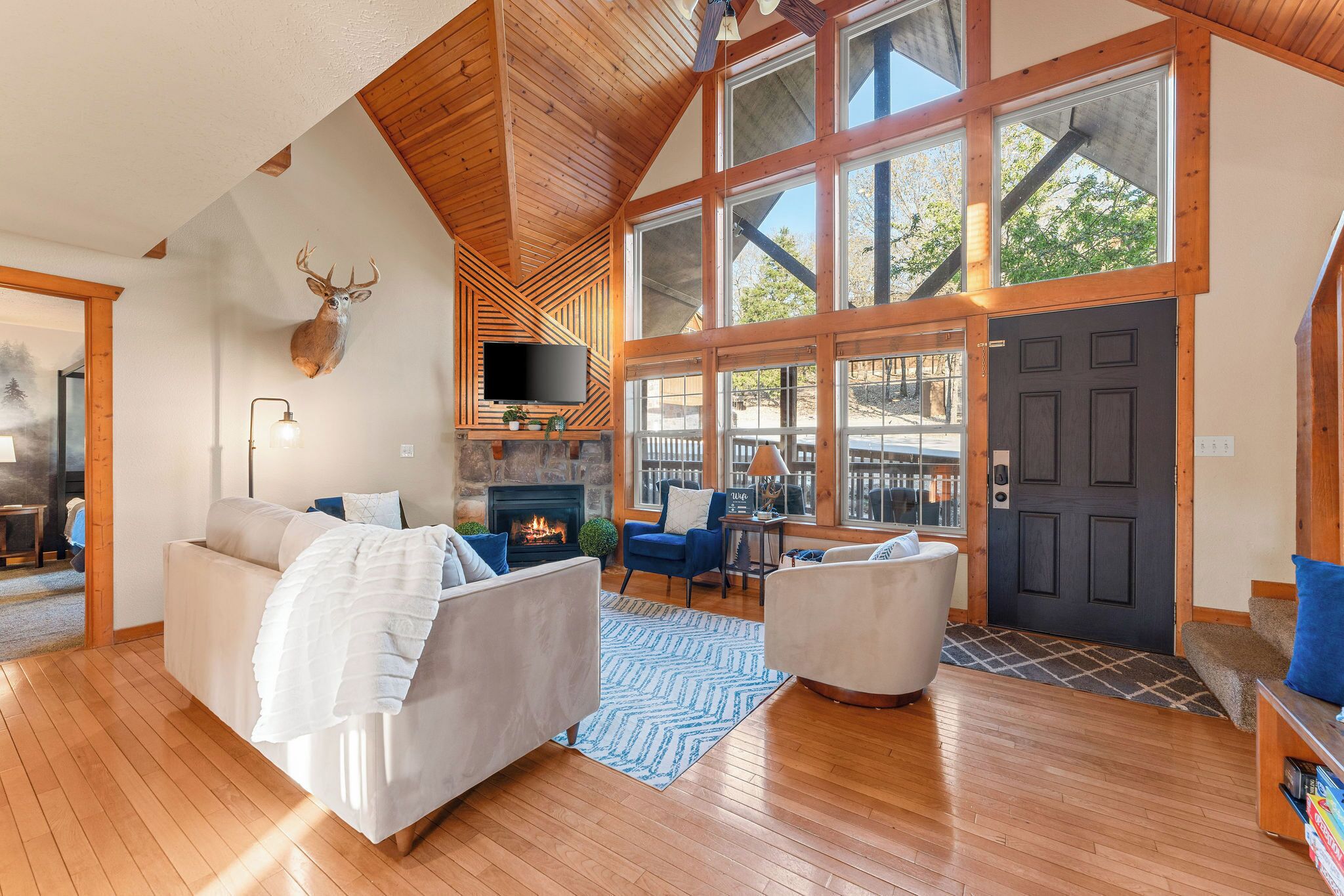 Smart TV, fireplace, video games, books