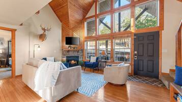 Smart TV, fireplace, video games, books