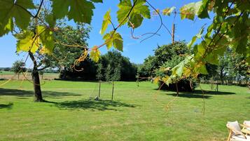 Área da propriedade