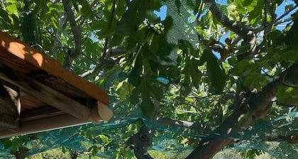 Mas provençal avec grande piscine prÚs de la plage et du Velodrome