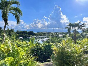 Terrain de l’hébergement 