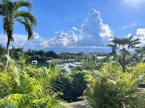 Haven of peace (with cistern) in the heart of the Marina