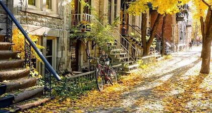 Chic St-Denis | Modern & Comfortable | Wifi | AC