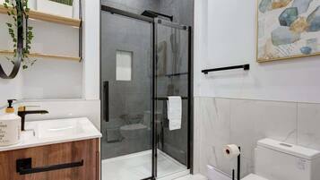 Shower, hair dryer, shampoo