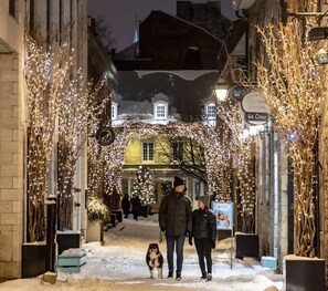 Terrain de l’hébergement 