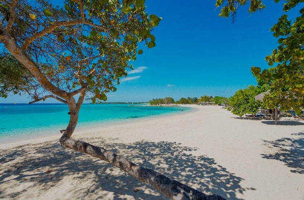 Nära stranden
