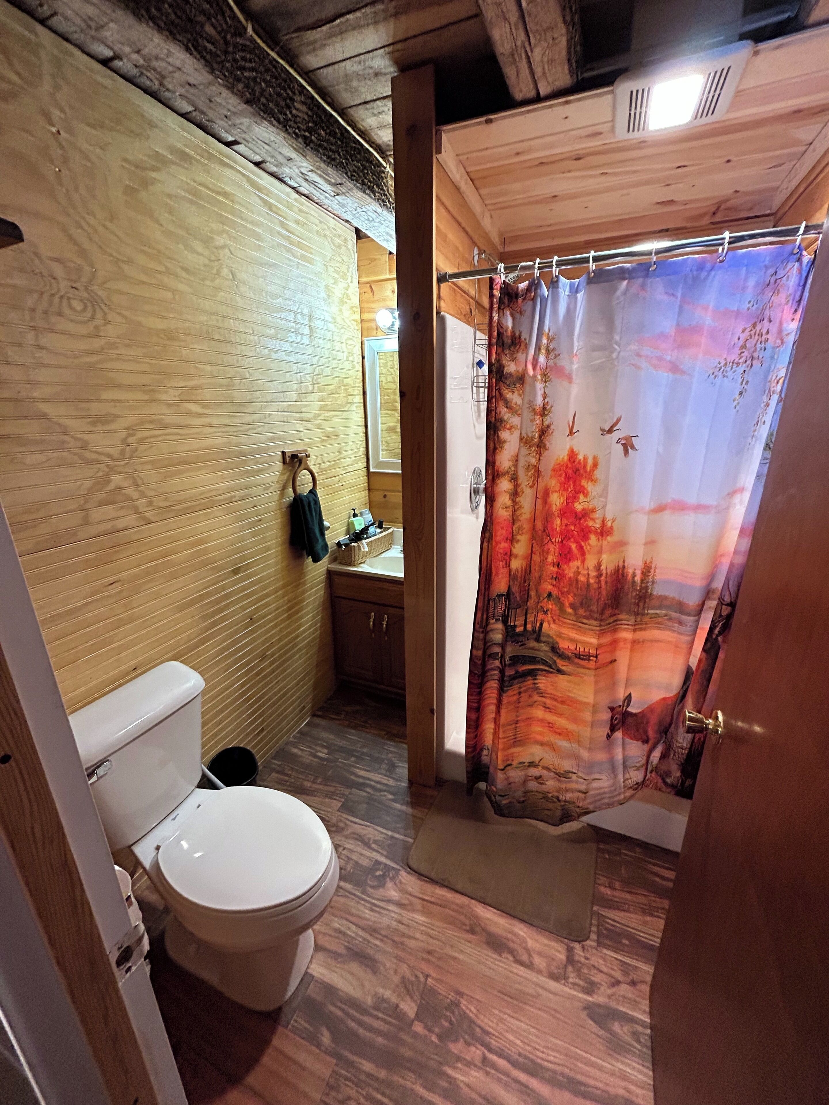 Shower, towels, toilet paper