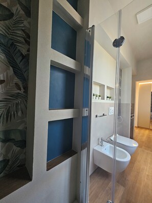 Shower, hair dryer, bidet, towels