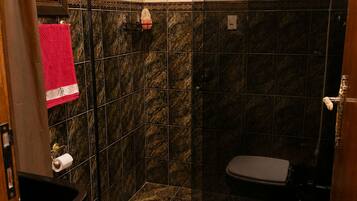 Een kleine badkamer met toilet, douche en een wastafeltje.