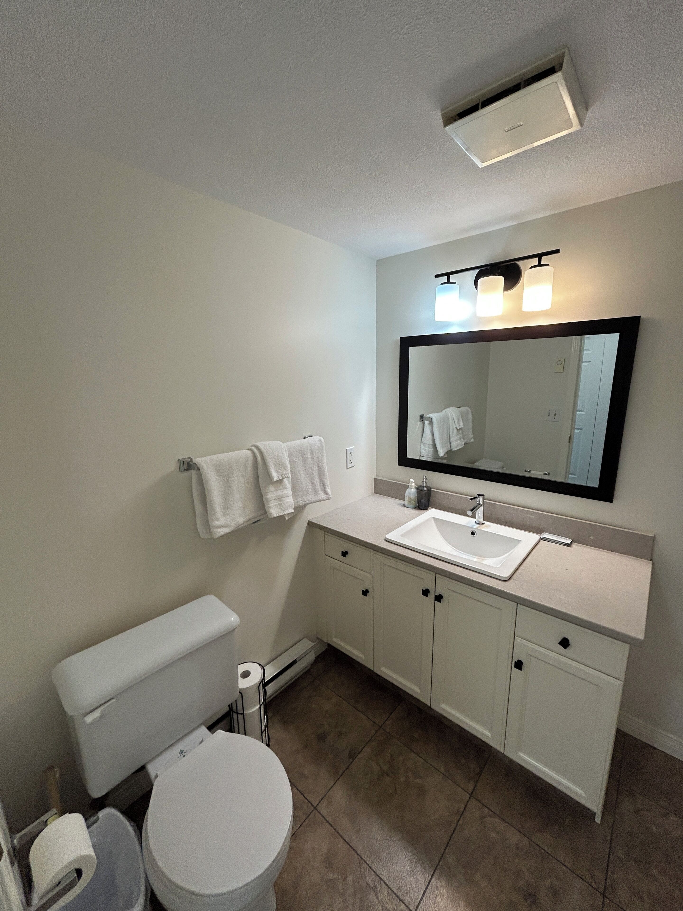 Une salle de bain avec des toilettes, un lavabo et un miroir.
