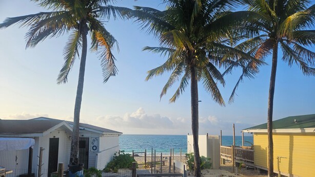 Ein Ferienhaus am Strand mit umzäunter Terrasse, Palmen und Meerblick.