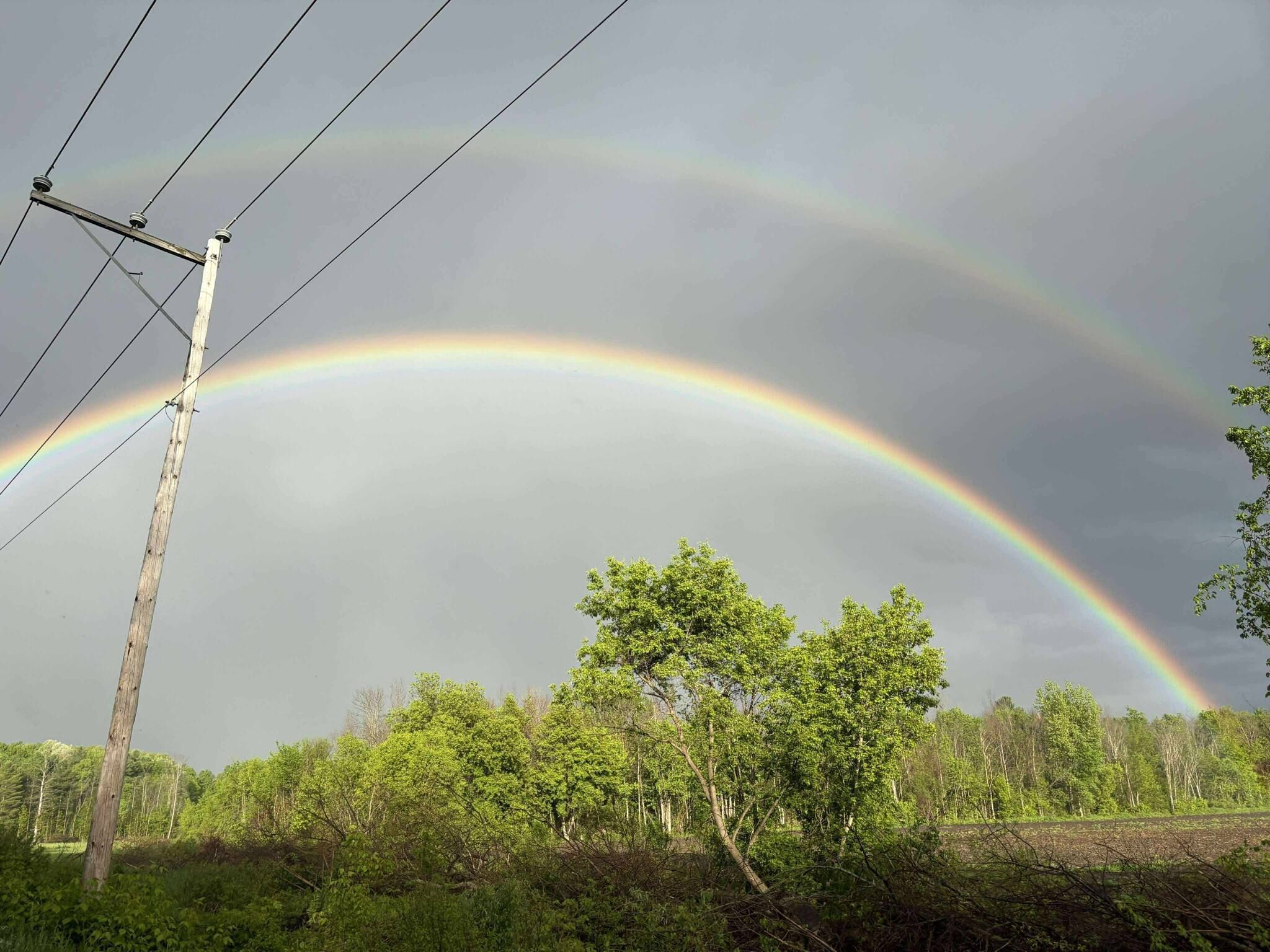 A landscape with a rainbow over a forest and power lines.