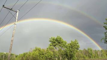 A landscape with a rainbow over a forest and power lines.
