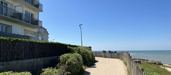 Anemone - Saint Hilaire de Riez
