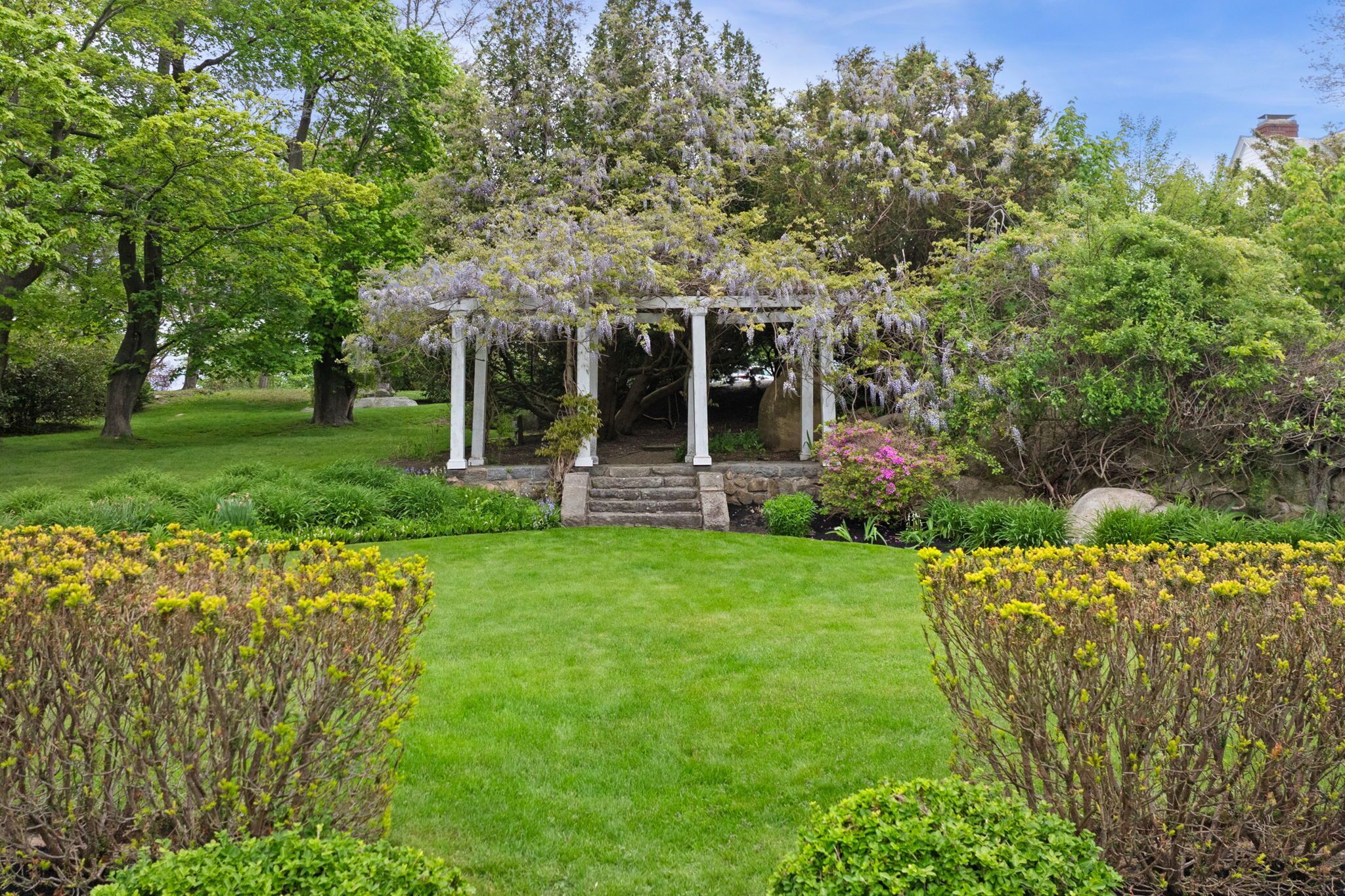 Un jardin agrémenté d’une pergola blanche, d’une végétation luxuriante et d’arbustes à fleurs jaunes.