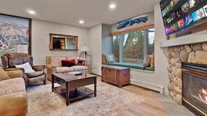 Smart TV, fireplace, books