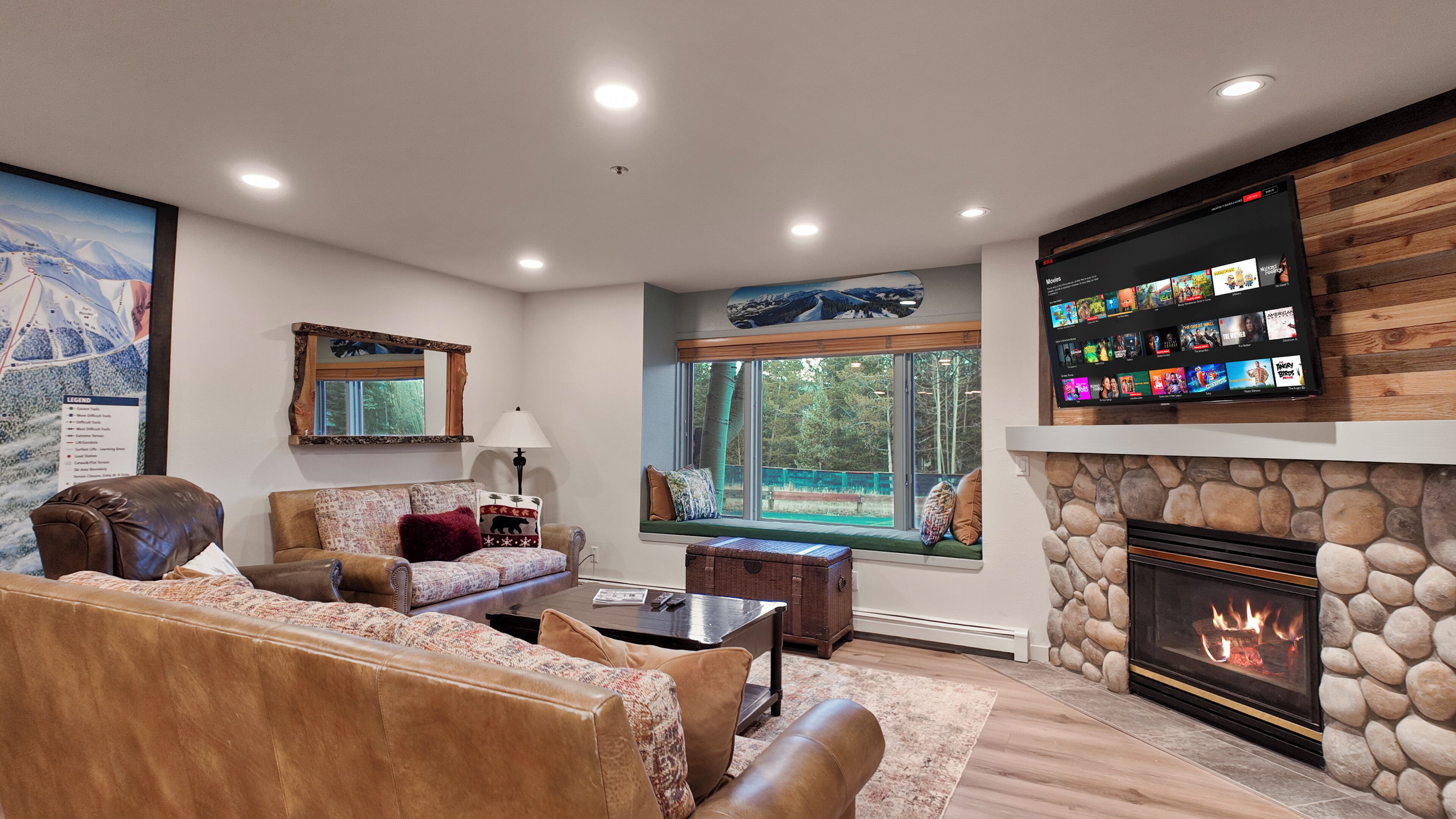 Smart TV, chimenea y libros 