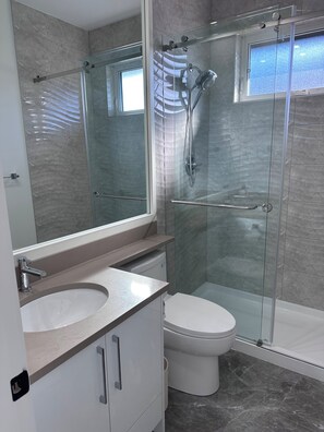 Ein modernes Badezimmer mit einer Duschkabine, einer weißen Toilette und einem Waschbecken mit Spiegel darüber.