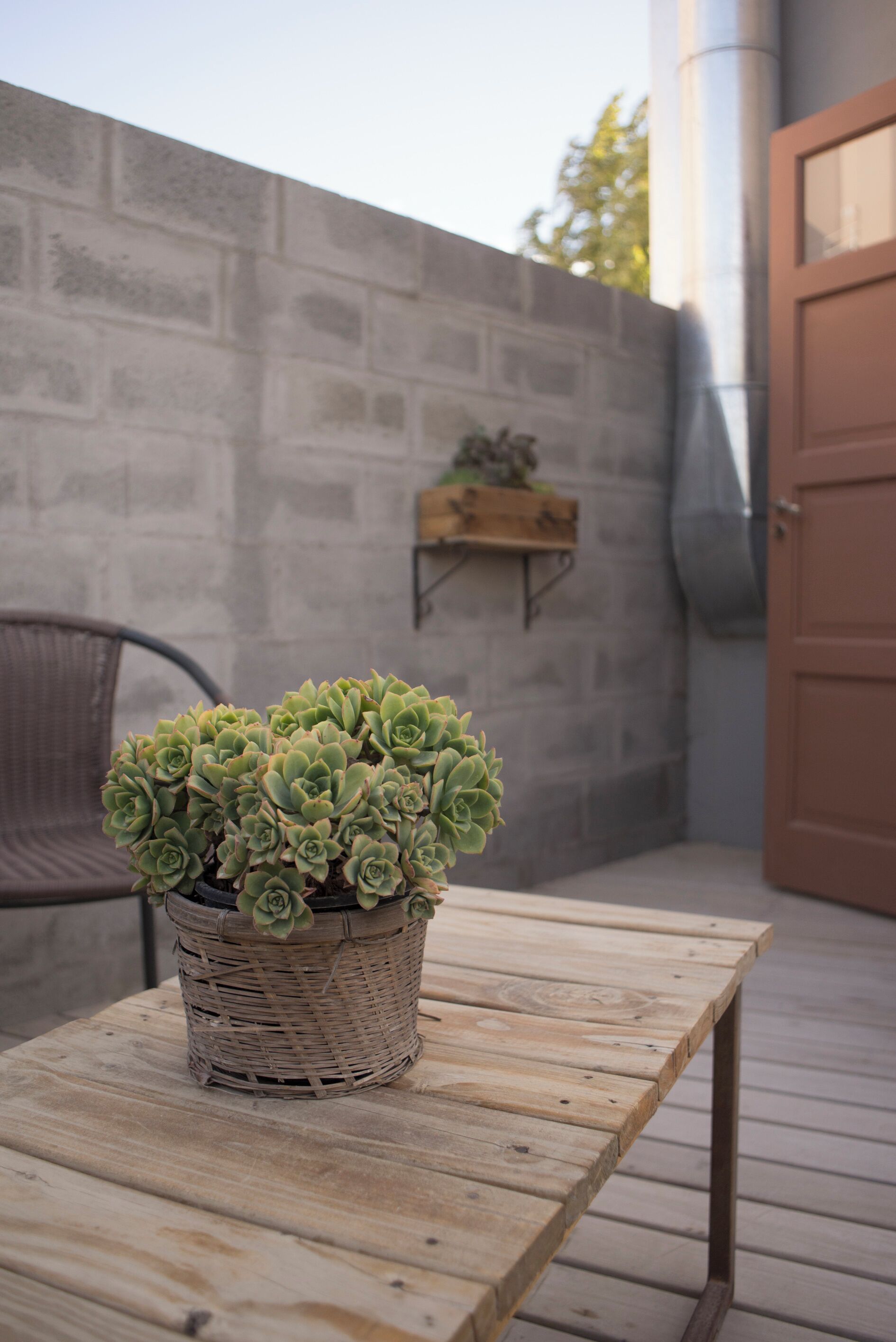 A wicker basket with a succulent plant on a wooden table in an outdoor setting.