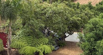 Oceanside -Bonsall Treehouse Barn Studio Retreat