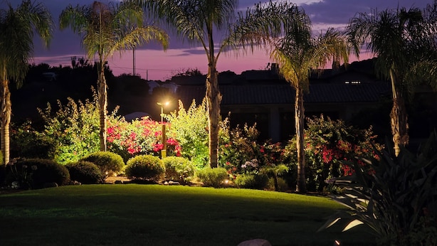 A landscaped garden with palm trees and flowering plants, a well-maintained lawn, and a building in the background.