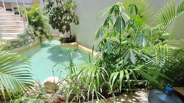 Una piscina rodeada de exuberante vegetación y una escalera que sube a un edificio.