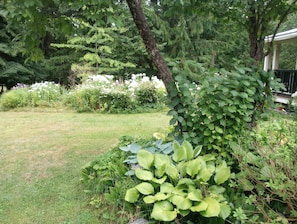 Boendeområde