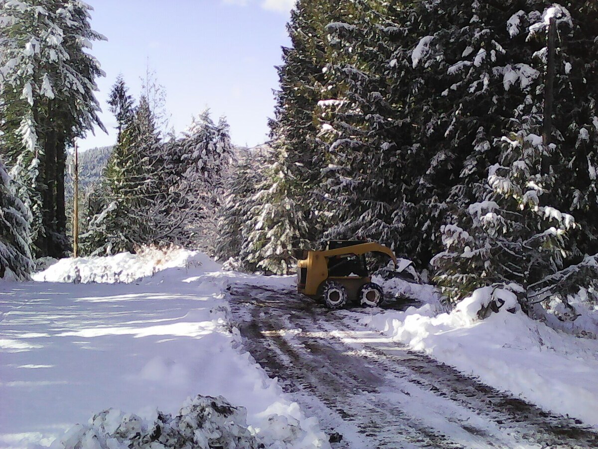 Værtens profilbillede