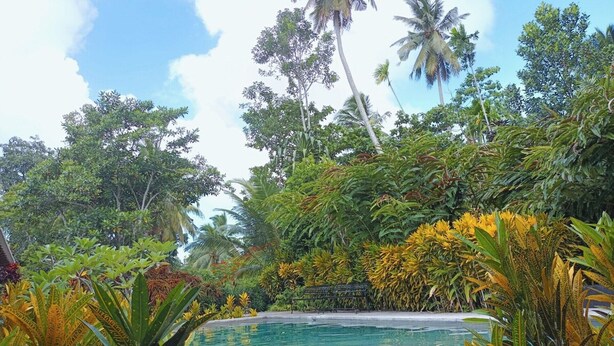 Una piscina rodeada de vegetación tropical y palmeras.