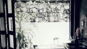 A room with a large window, a potted plant, a sink, and a towel hanging on the door.