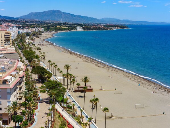 A coastal hotel with a beachfront view, a pool area, and a promenade lined with palm trees.