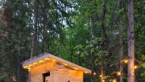 A small wooden cabin with a porch, surrounded by trees. - • TRANQUILITY DOME• OFFGRID GLAMPING RETREAT IN PRIVATE FOREST! (Killaloe)
