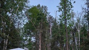 A geodesic dome tent with a wooden deck and a small wooden structure with a roof. - • TRANQUILITY DOME• OFFGRID GLAMPING RETREAT IN PRIVATE FOREST! (Killaloe)
