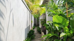 Ngoại thất