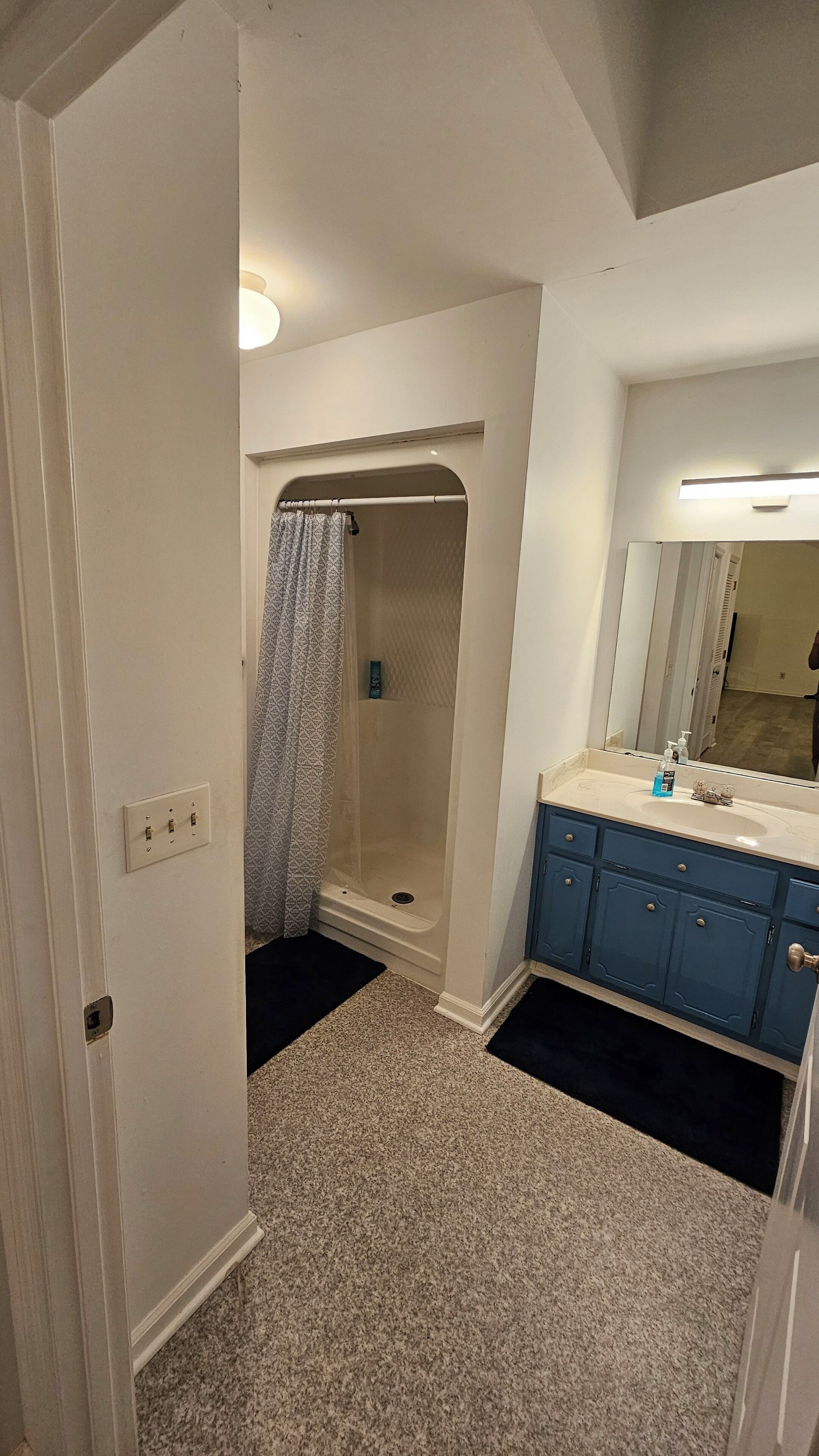 Une salle de bain avec une douche, un lavabo et un miroir.