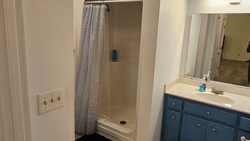 Une salle de bain avec une douche, un lavabo et un miroir.