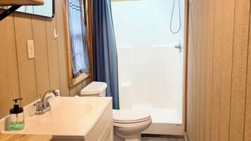 Shower, towels, toilet paper